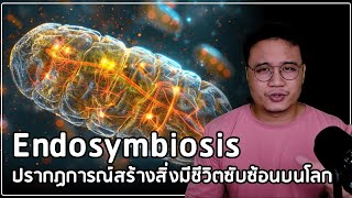 ต้นกำเนิด Mitochondria แหล่งผลิตพลังงานของเซลล์ [upl. by Halilahk]