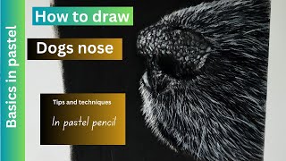 How to draw a dogs nose in pastel pencils [upl. by Nymassej75]