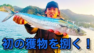 初めての三枚卸し！グダグダ料理回をお届け！【鳥取県】 [upl. by Buseck]