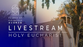 Holy Eucharist  Rite 2  Twelfth Sunday after Pentecost [upl. by Nytsrik]