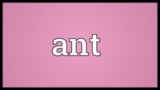 Ant Meaning [upl. by Ylrebmyk]