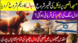 Construction Of Haikal E Sulemani On Masjid Aqsa Started  Dajjal Ka Welcome  Red Heifer Ki Qurbani [upl. by Sara938]