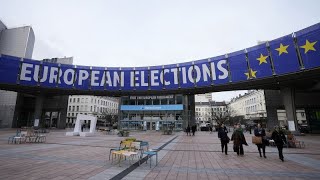 Elezioni europee tutto quello che cè da sapere per andare alle urne informati [upl. by Leahcimsemaj788]