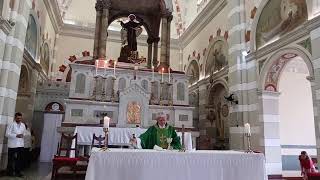 Transmissão ao vivo de Paróquia São Francisco de Assis Alagoinhas Bahia [upl. by Yart]