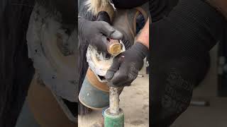 Farrier Trims and Cleans Horse Hoof [upl. by Yajet295]