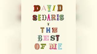 Review The Best of Me  by David Sedaris [upl. by Nosdrahcir]