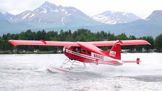 Seaplane Extravaganza  Lake Hood Base  Anchorage [upl. by Nailuj]