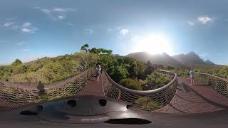 Kirstenbosch Botanical Garden VR Experience [upl. by Seena]