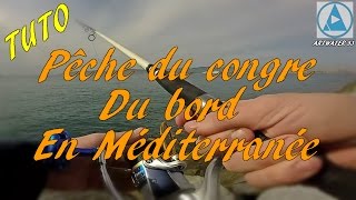 Comment pêcher le congre du bord en mediterranée [upl. by Cornia]