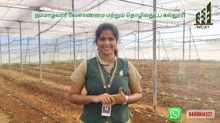 protected cultivation பாதுகாக்கப்பட்ட சாகுபடி 🥒 [upl. by Sairtemed127]