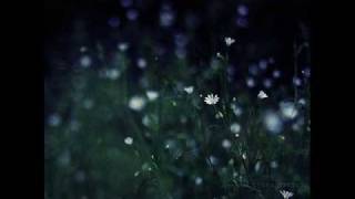 CaLLmeKAT – Flower in the Night [upl. by Strickler]