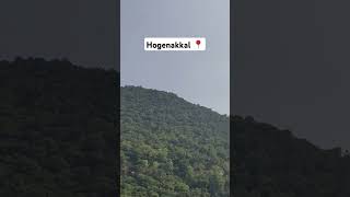 Hogenakkal 📍 hogenakkalfalls hogenakkalwaterfalls hogenakkal trending youtubeshorts travel [upl. by Lewej658]