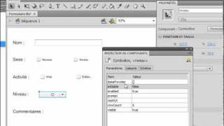 ActionScript 3  Création dun formulaire [upl. by Maurilla374]