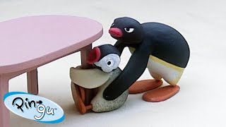 Pingu and Pinga 🐧  Pingu  Official Channel  Cartoons For Kids [upl. by Lasky638]