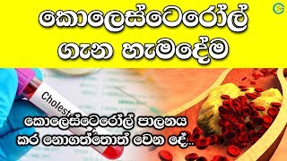 All about Cholesterol  කොලෙස්ටෙරෝල් ගැන හැමදෙයක්ම  Shanethya TV [upl. by Barnaby]