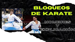 🥋 33 Nombres de BLOQUEOS DE KARATE DO shotokan 🥋 básicos avanzados TODOS LOS BLOQUEOS [upl. by Evetta]