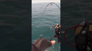 How to Catch Monster Fish [upl. by Oicirtap]