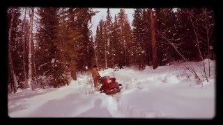 Brp skidoo Skandic swt 2016 и Yamaha [upl. by Trueblood]