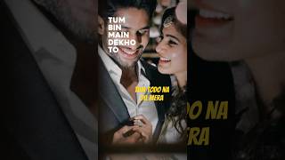 Tum Todo Na Dil Mera Female Version  Lyrics  Lyrical Video  Status [upl. by Eidur512]