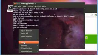 Send Email Through Telnet via Bash Command Line to SMTP Server [upl. by Hetty934]