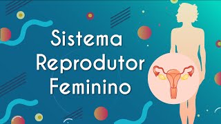 Sistema Reprodutor Feminino  Brasil Escola [upl. by Elleina148]