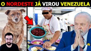 🚨Políticos APROVAM abate de CÃES abandonados e DOAÇÃO da CARNE para CONSUMO em creches e escolas [upl. by Isdnyl]