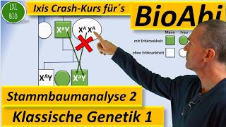 Klassische Genetik 2 Stammbaumanalyse 2  Genotypen begründen bei Xchromosomal rezessiven Erbgängen [upl. by Devitt12]