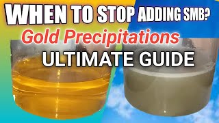 WHEN TO STOP ADDING SODIUM META BISULFITE IN OUR AQUA REGIA SOLUTION  GOLD PRECIPITATION REACTION [upl. by Hans547]