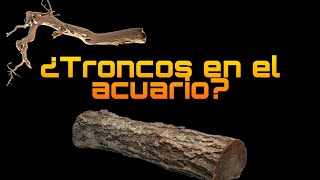 Troncos para acuario tipos y lo que debes saber [upl. by Ert]