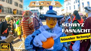 Fasnacht 2020  Schwyzer Nüssler  Narrentanz Schwyz  Nüssler schwyz  4K [upl. by Luapleahcim423]