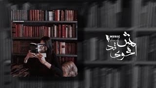 مش قد الهوى بطيء  قالي من الكلام اللي بيوجع ياما بزياده بطيء  شيرين [upl. by Ludly]