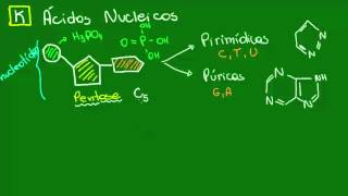 Estrutura química dos ácidos nucleicos  Química Orgânica  Química [upl. by Korb]