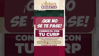 ¡CONSULTA CON TU CURP para recibir la pension bienestar JULIO  AGOSTO adultos mayores [upl. by Aliled]