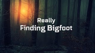 Really Finding Bigfoot  Official Movie [upl. by Oscar876]