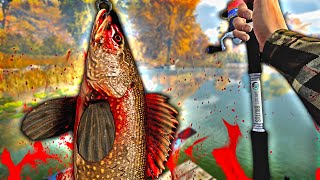 OVAJ SMUDJ JE POJEO SVE STUKE U JEZERU  Fishing Planet PIKESLASHER MONSTER HUNT [upl. by Eimaraj788]