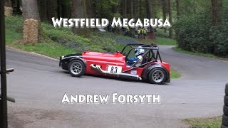 Westfield Megabusa at Wiscombe Park Speed Hillclimb May 2015 Andrew Forsyth [upl. by Prader35]