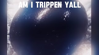 Guys am i trippen [upl. by Schulz]