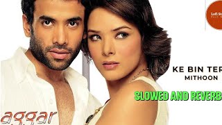 KE BIN TERE JEENA NAHI  Slowed and Reverb  Aggar  LoFi StaTion  Udita Goswami [upl. by Ahsaercal]