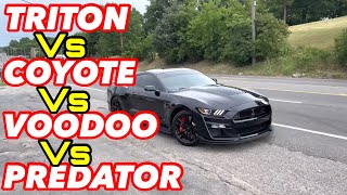 Ford Mustang 46L V8 Vs 50L V8 Vs 52L V8 Vs 52L SUPERCHARGED V8 [upl. by Furmark]