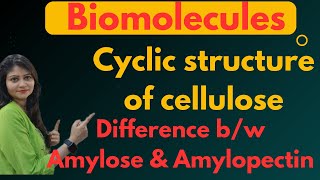 Cyclic Structure Of Cellulose  Difference Between Amylose And Amylopectin 😱😱🔥🔥 [upl. by Nosimaj]