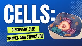 Cells Discovery Size Structure And Shape  Class 8  DAV [upl. by Reyna646]