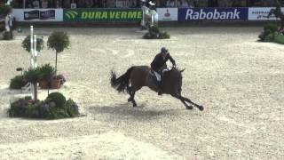 Orient Express et Patrice Delaveau  Vainqueurs GP CSIO de Rotterdam [upl. by Schweiker]