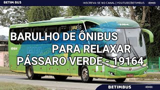 Barulho de ônibus Para relaxar Vol07  PÁSSARO VERDE  19164 [upl. by Nerra666]