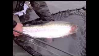 CENTER PIN SECRETS for Trout amp Steelhead [upl. by Ackerley371]