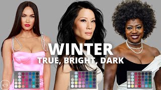 How to Find your Color Season  Seasonal Color Analysis True Bright amp Dark Winter [upl. by Margeaux]