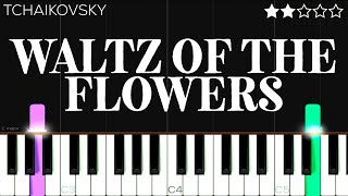 Tchaikovsky  Waltz of the Flowers  EASY Piano Tutorial [upl. by Gamal]