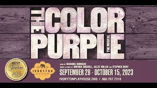 THE COLOR PURPLE The Musical on stage at Ivoryton Playhouse Celie’s Moving Musical Journey [upl. by Nnayd]