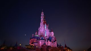 Magical Day at Disneyland  Best Rides and Experiences [upl. by Afnin]