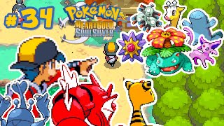 34 Heracross Gyarados e Ampharos detonando Batalhas a caminho da Liga Pokémon [upl. by Tymon]