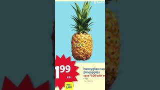 LiDL Grocery Store Deals This Week [upl. by Lezti]